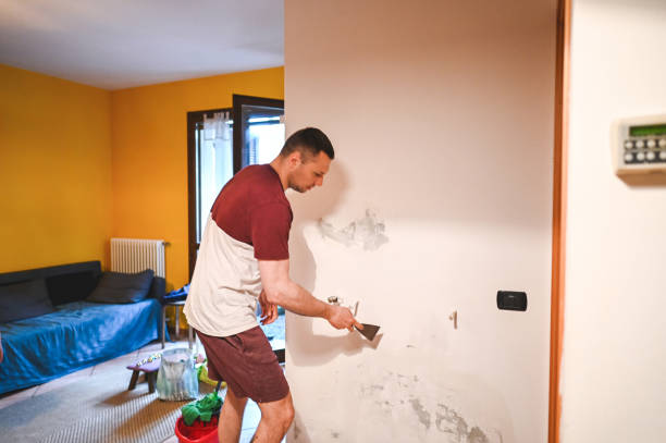 Best Certified Mold Removal  in Richfield Springs, NY